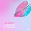 4 Weeks in the Summer - Single