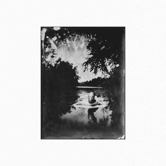 Cover artwork for Evolve