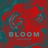 Bloom, 2019