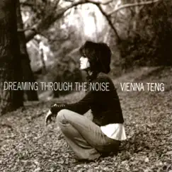 Dreaming Through The Noise by Vienna Teng album reviews, ratings, credits
