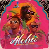 Aloha (feat. DCQ, Darnelt & Relax Buay) artwork