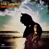 Glen Campbell - Take My Hand for a While