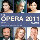 The Opera Album 2011 artwork