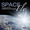 Space Fly, Vol. 1 - A Magic Chill Trip (Presented By Frank Borell), 2009