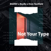Not Your Type (feat. BeyBo & Dom Yeetfield) artwork