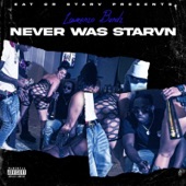 Never Was Starvn artwork