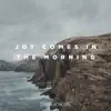 Joy Comes In The Morning (Live) [feat. Tasha Layton] - Single album lyrics, reviews, download