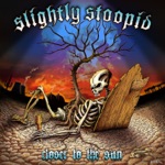 Slightly Stoopid - Don't Care (feat. Billy & Pro Most)