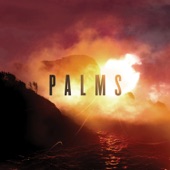 Palms - Tropics