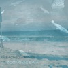 Zoon - Bleached Wavves