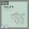 Tulips (feat. Thana Alexa) - Max Esquivel lyrics