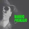 Barrio Prendido (Remix) - Single album lyrics, reviews, download