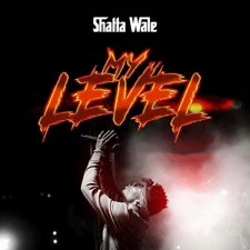 My level artwork