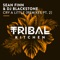 Cry a Little (DJ Blackstone Radio Edit) - Sean Finn & DJ Blackstone lyrics