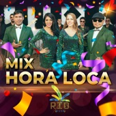 Mix Hora Loca, Pt. 4 (El Meneito, Cariñito, Guaranguito) artwork