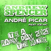 It's a Rainy Day 2021 (feat. Ice MC) [Dance 2 Disco Remix Edit] artwork