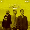 Valuri (Remixes) - EP