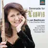 Beethoven: Flute Works album lyrics, reviews, download