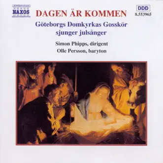 Ding, Dong, Merrily On High by Gothenburg Cathedral Boys' Chorus, Olle Persson & Simon Phipps song reviws