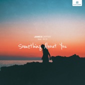 Something About You (feat. BCS) artwork