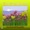 Los Imperial's-Romance Del Campesino