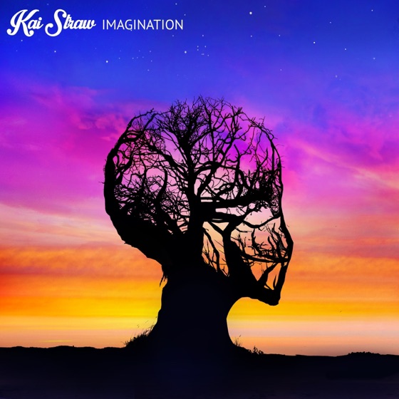 Cover artwork for Imagination