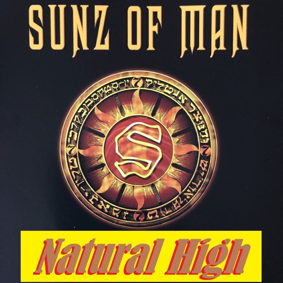 Cover artwork for The Plan
