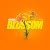 Blossom (Radio edit) - Single album lyrics, reviews, download