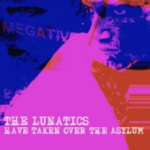 Megative - The Lunatics (Have Taken over the Asylum)