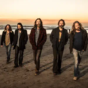 The Chris Robinson Brotherhood