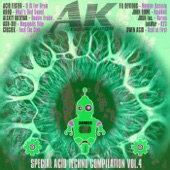 Special Acid Techno Compilation, Vol. 4 artwork