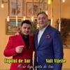 Mi - As Lega Viata De Tine (feat. Vali Vijelie) - Single