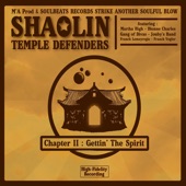 Shaolin Temple Defenders - International Soul