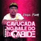 Cavucada no Baile do Dj Cabide - DJ Cabide lyrics