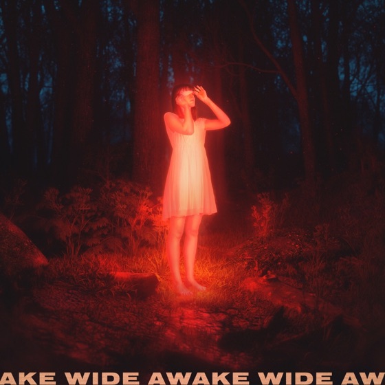 Cover artwork for Wide Awake