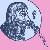 Wayside (Radio Edit) artwork