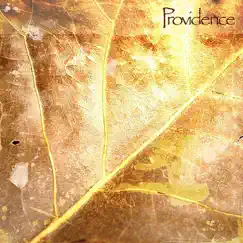Providence by Darshan Ambient album reviews, ratings, credits