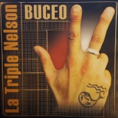 Buceo artwork