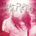 Meat Puppets - Never to Be Found