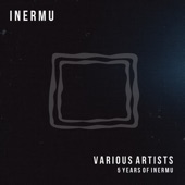5 Years of Inermu artwork