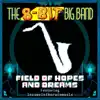 Field of Hopes and Dreams (feat. Insaneintherainmusic) - Single album lyrics, reviews, download