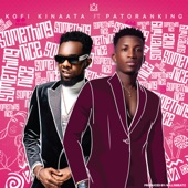 Something Nice (feat. Patoranking) artwork