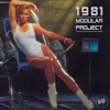 Modular Project - Past Present Future
