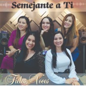 Semejante A Ti (Demo) artwork