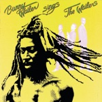 Bunny Wailer - Rule This Land