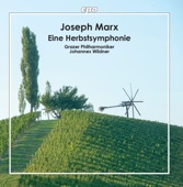 Marx: Eine Herbstsymphonie artwork