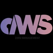 Dws Management (feat. Dhea Siregar) artwork