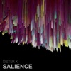 Salience