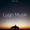 Lugn Musik - Helande Musik för Meditation album lyrics, reviews, download