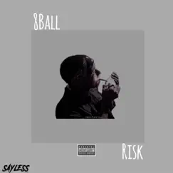 Risk - Single by Joe 8ball album reviews, ratings, credits